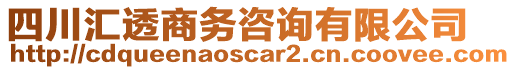 四川匯透商務(wù)咨詢(xún)有限公司