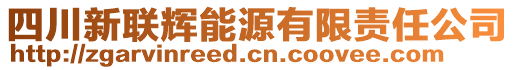 四川新聯(lián)輝能源有限責(zé)任公司