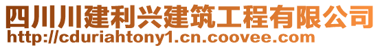 四川川建利興建筑工程有限公司