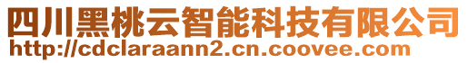 四川黑桃云智能科技有限公司