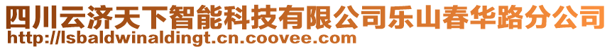 四川云濟(jì)天下智能科技有限公司樂山春華路分公司