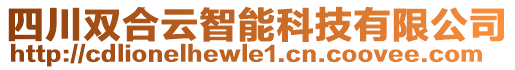 四川雙合云智能科技有限公司