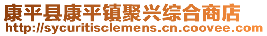 康平县康平镇聚兴综合商店