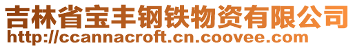 吉林省寶豐鋼鐵物資有限公司