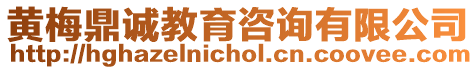 黃梅鼎誠教育咨詢有限公司