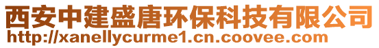 西安中建盛唐環(huán)保科技有限公司