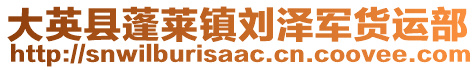 大英縣蓬萊鎮(zhèn)劉澤軍貨運(yùn)部