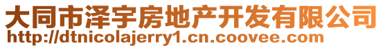 大同市澤宇房地產(chǎn)開發(fā)有限公司