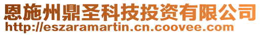 恩施州鼎圣科技投資有限公司