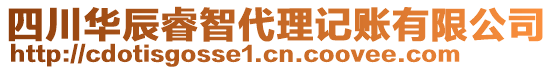 四川華辰睿智代理記賬有限公司