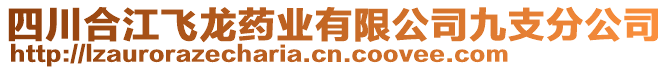 四川合江飛龍藥業(yè)有限公司九支分公司