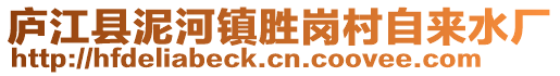 廬江縣泥河鎮(zhèn)勝崗村自來水廠