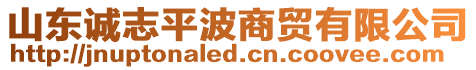 山東誠志平波商貿(mào)有限公司