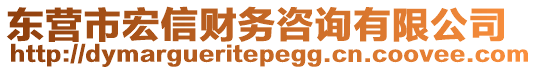 東營市宏信財務(wù)咨詢有限公司