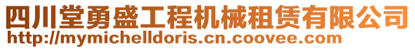 四川堂勇盛工程機(jī)械租賃有限公司