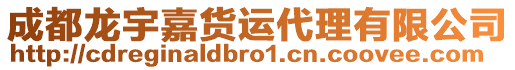 成都龍宇嘉貨運(yùn)代理有限公司