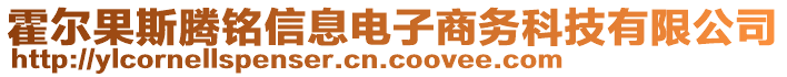 霍爾果斯騰銘信息電子商務(wù)科技有限公司