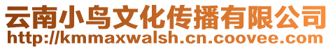 云南小鳥文化傳播有限公司