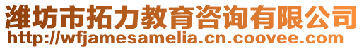濰坊市拓力教育咨詢有限公司