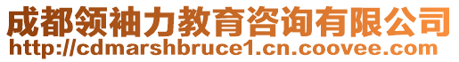 成都領(lǐng)袖力教育咨詢有限公司