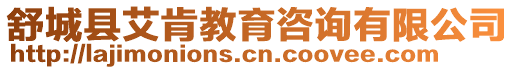 舒城縣艾肯教育咨詢有限公司