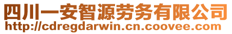 四川一安智源勞務(wù)有限公司