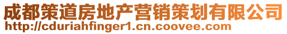 成都策道房地產(chǎn)營銷策劃有限公司