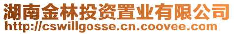 湖南金林投資置業有限公司