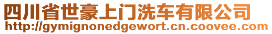 四川省世豪上門洗車有限公司