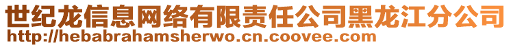 世紀(jì)龍信息網(wǎng)絡(luò)有限責(zé)任公司黑龍江分公司