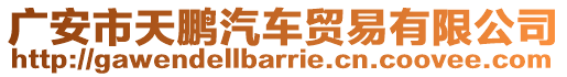 廣安市天鵬汽車貿(mào)易有限公司