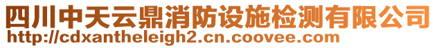 四川中天云鼎消防設施檢測有限公司