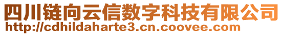 四川鏈向云信數(shù)字科技有限公司