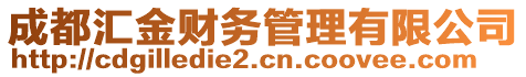 成都匯金財(cái)務(wù)管理有限公司