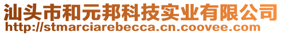 汕頭市和元邦科技實(shí)業(yè)有限公司