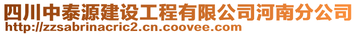 四川中泰源建設工程有限公司河南分公司