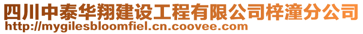 四川中泰華翔建設工程有限公司梓潼分公司