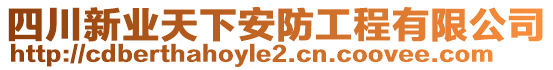 四川新業(yè)天下安防工程有限公司