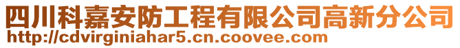 四川科嘉安防工程有限公司高新分公司