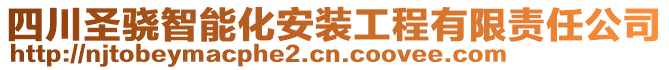 四川圣驍智能化安裝工程有限責(zé)任公司