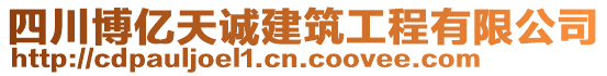 四川博億天誠建筑工程有限公司