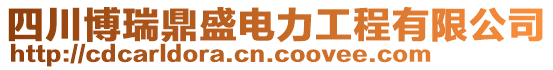 四川博瑞鼎盛電力工程有限公司