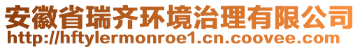 安徽省瑞齐环境治理有限公司