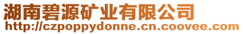 湖南碧源礦業有限公司