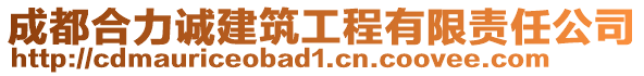 成都合力誠(chéng)建筑工程有限責(zé)任公司