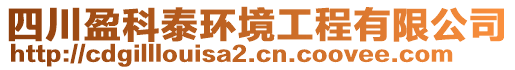 四川盈科泰環(huán)境工程有限公司