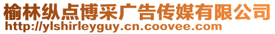 榆林縱點博采廣告傳媒有限公司