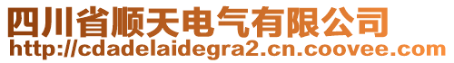 四川省順天電氣有限公司