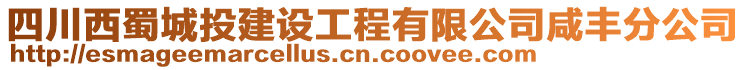 四川西蜀城投建設工程有限公司咸豐分公司