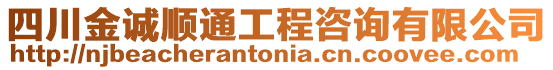 四川金誠(chéng)順通工程咨詢有限公司